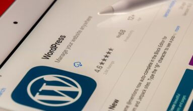 WordPress Nedir ?