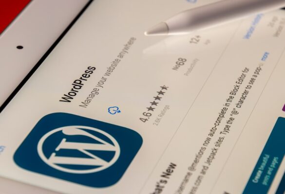 WordPress Nedir ?